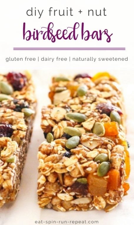 DIY Fruit and Nut 'Birdseed' Bars | No-bake, gluten free, dairy free, and a totally healthy travel snack to keep you eating clean on the go! | Eat Spin Run Repeat | #travel #eatclean #vegan #glutenfree